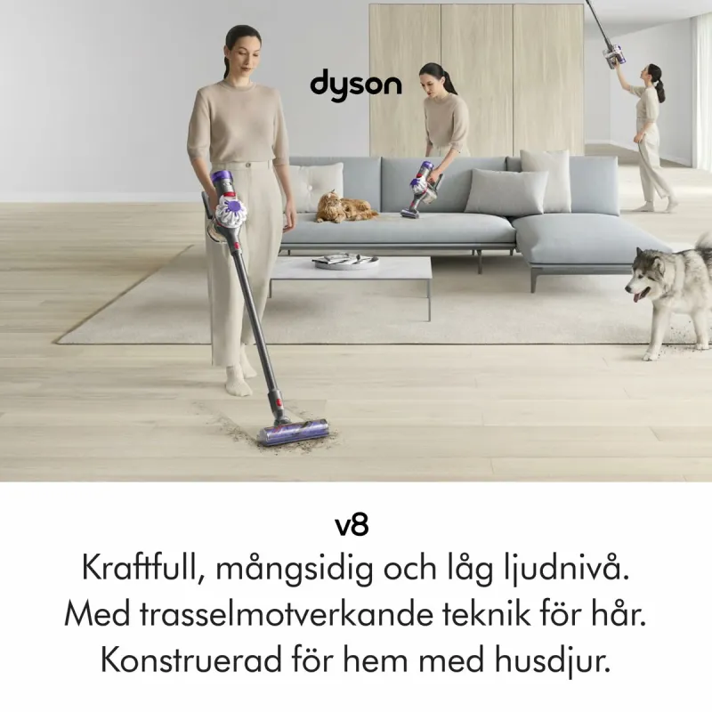Rankinis dulių siurblys Dyson 492636-01