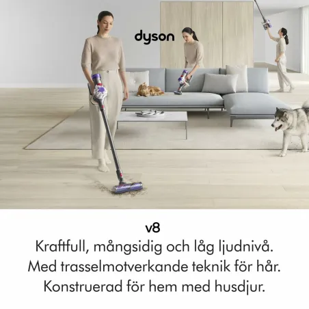 Rankinis dulių siurblys Dyson 492636-01