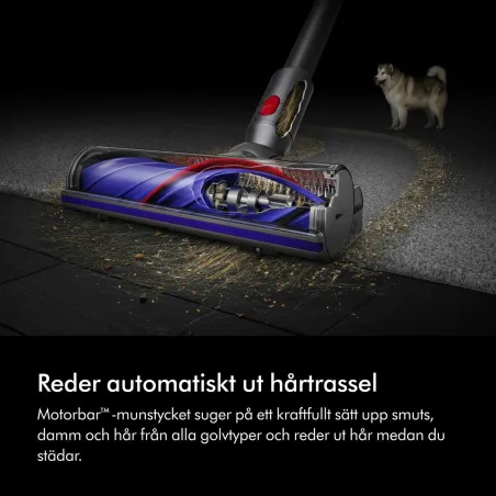 Rankinis dulių siurblys Dyson 492636-01