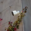 IP camera Xiaomi CMSXJ31A+CMWG31B