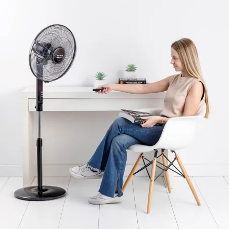 Box Ventilator Taurus Black