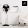 Freestanding Fan Taurus 944689000 Black