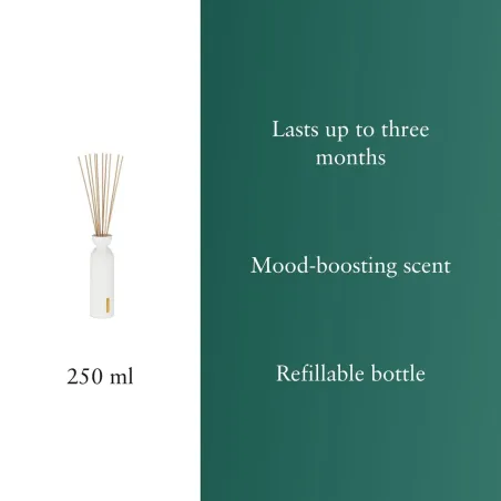 Air Freshener Rituals THE RITUAL OF KARMA 250 ml