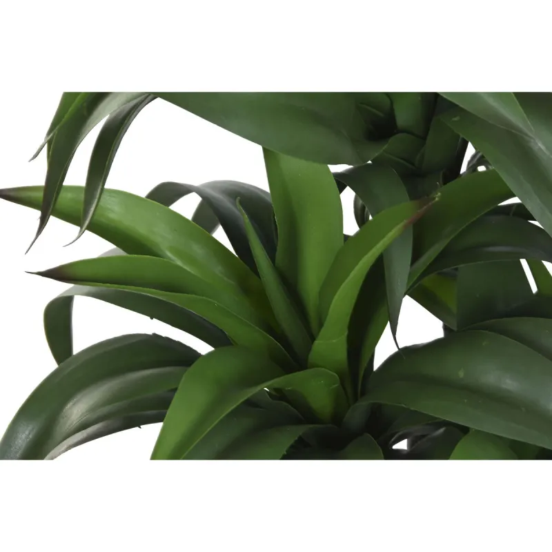 Decorative Plant Home ESPRIT Resin Polyethylene 50 x 50 x 102 cm