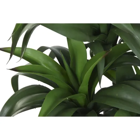 Decorative Plant Home ESPRIT Resin Polyethylene 50 x 50 x 102 cm