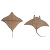 Wall Decoration Home ESPRIT Natural Mediterranean (2 Units)