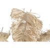 Decorative Figure Home ESPRIT Natural Tropical Palm tree