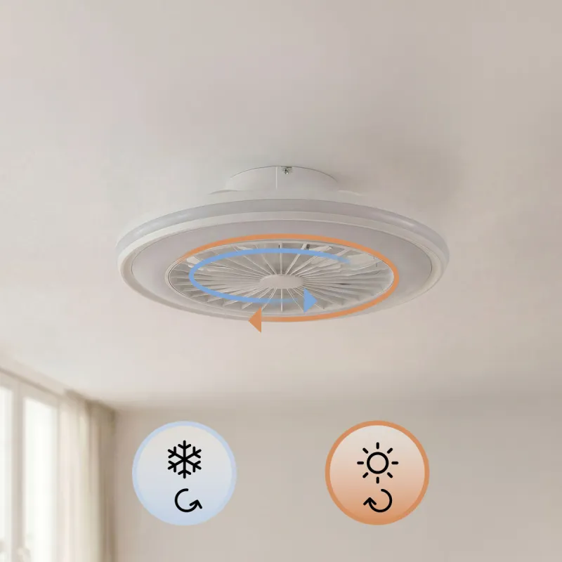 Ceiling Fan with RGB LED Light, Hidden Blades and Remote Control Nexory InnovaGoods