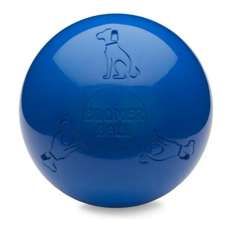 Koiranlelu Company of Animals Boomer Polyetyleeni 250mm