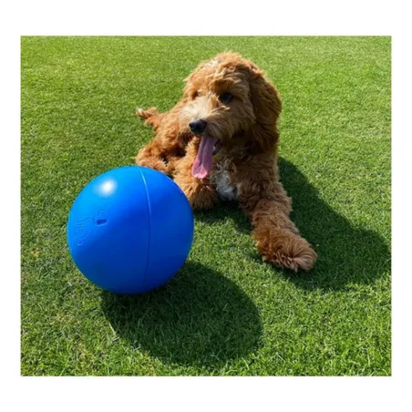 Dog toy Company of Animals Boomer Polyethylene 250mm