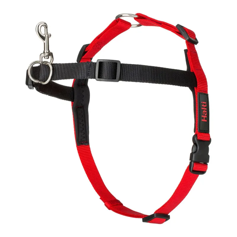 Koera rakmed Company of Animals Halti Must/Punane Suurus S (36-64 cm)