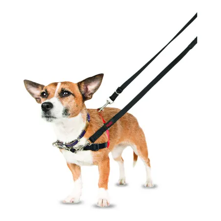 Koera rakmed Company of Animals Halti Must/Punane Suurus S (36-64 cm)