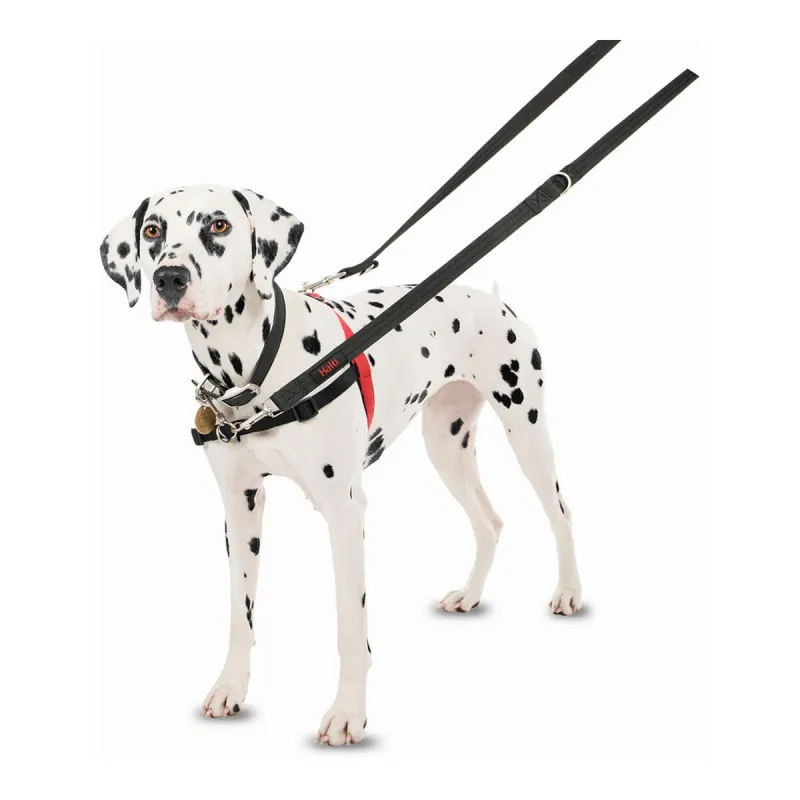 Koera rakmed Company of Animals Halti Must/Punane Suurus S (36-64 cm)