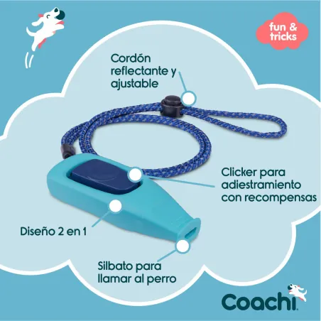 Švilpukas Coachi