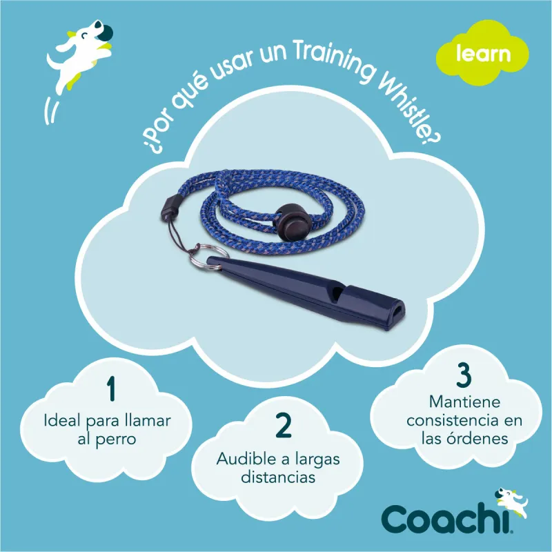 Свисток Coachi