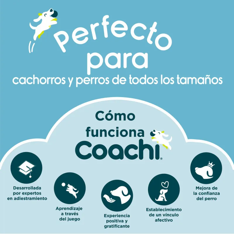 Vihellyspilli Coachi