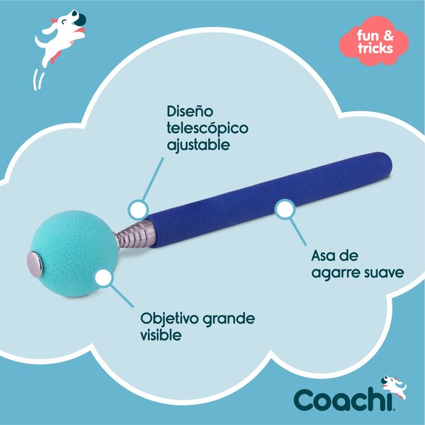 Training toy Coachi Stick Zils