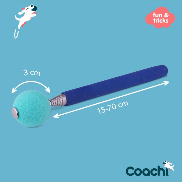Training toy Coachi Stick Синий