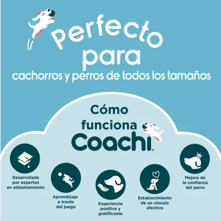 Training toy Coachi Синий
