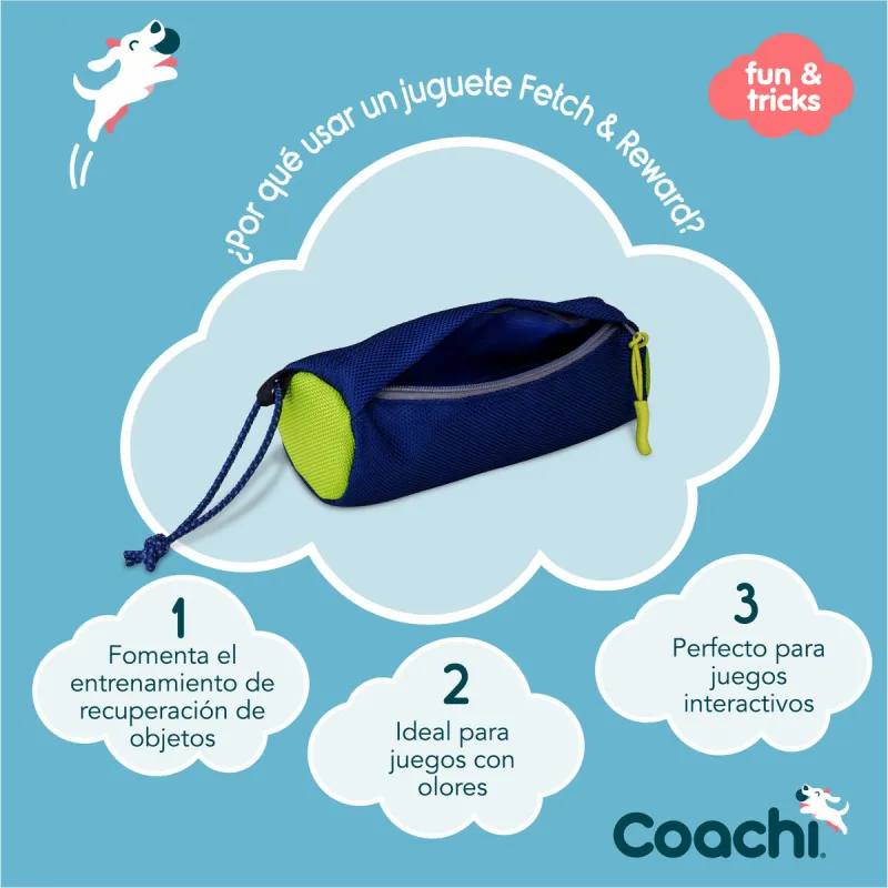 Training toy Coachi Zils