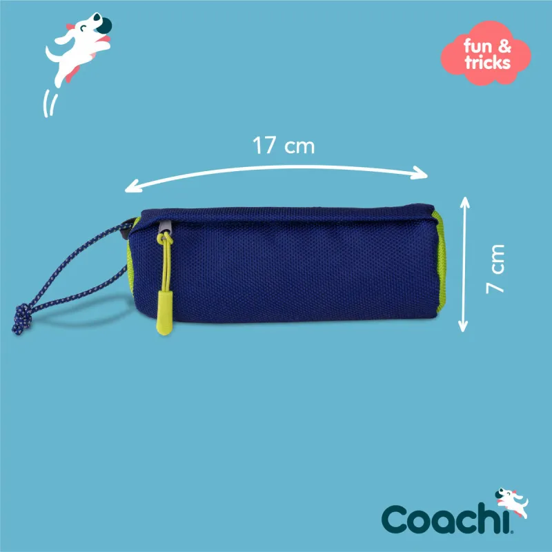 Training toy Coachi Синий