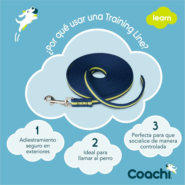 Koerarihm Coachi Sinine Treening