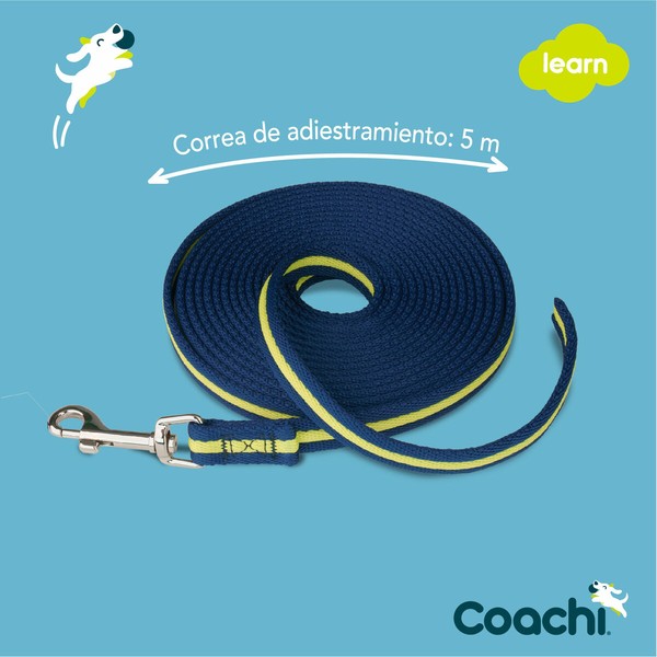 Koerarihm Coachi Sinine Treening