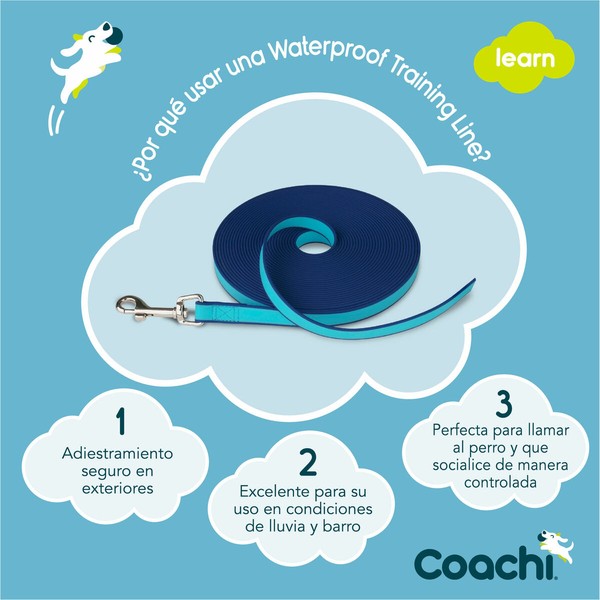 Treniruotės diržas Coachi Mėlyna Mokymai