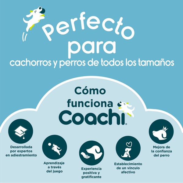 Treeningrihm Coachi Sinine Treening