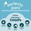 Treeningrihm Coachi Sinine Treening
