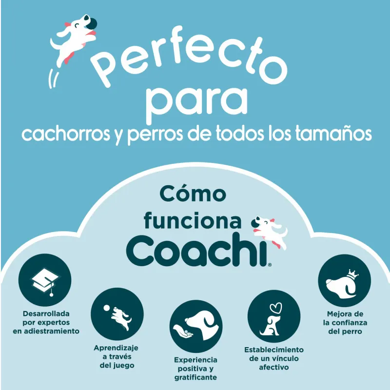 Pussukka Coachi Train & Treat Sininen