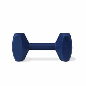 Обучающая игрушка Coachi TRAINING DUMBBELL Синий