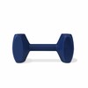 Обучающая игрушка Coachi TRAINING DUMBBELL Синий