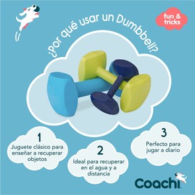 Обучающая игрушка Coachi TRAINING DUMBBELL
