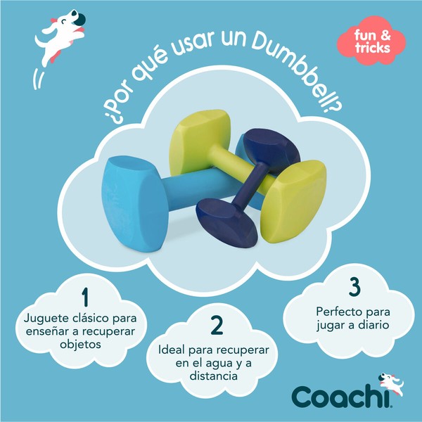 Обучающая игрушка Coachi TRAINING DUMBBELL