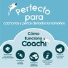 Harjoituslelu Coachi TRAINING DUMBBELL
