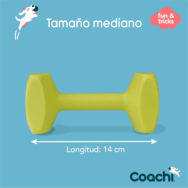 Обучающая игрушка Coachi TRAINING DUMBBELL