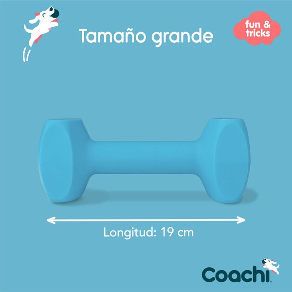 Treeningmänguasi Coachi TRAINING DUMBBELL Sinine