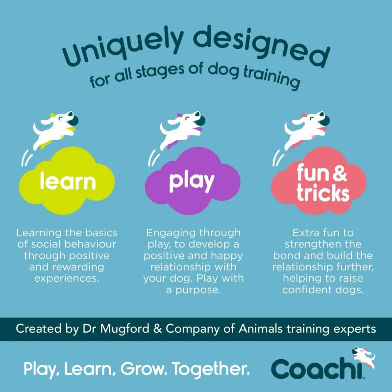 Training toy Coachi TRAINING DUMMY Mėlyna