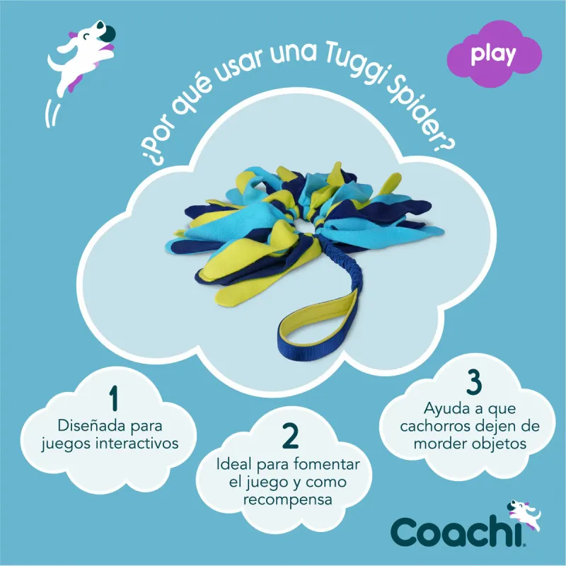 Training toy Coachi TUGGI SPIDER Zils