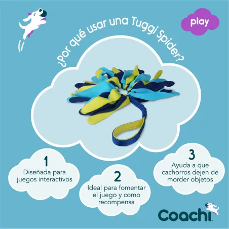 Training toy Coachi TUGGI SPIDER Sininen