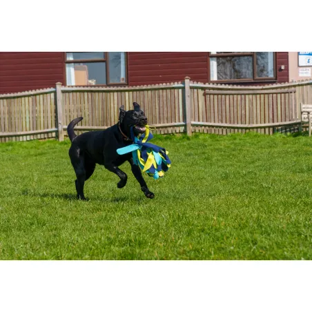 Training toy Coachi TUGGI SPIDER Синий