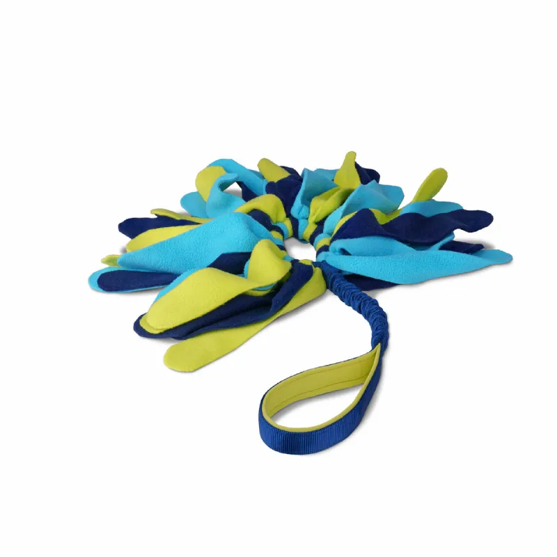 Training toy Coachi TUGGI SPIDER Sinine