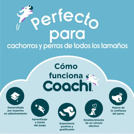 Training toy Coachi TUGGI HIDE Blue
