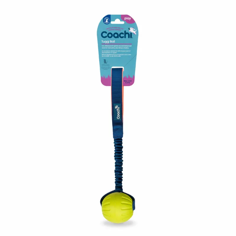 Training toy Coachi TUGGI BALL Sininen