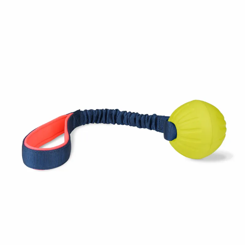 Training toy Coachi TUGGI BALL Синий
