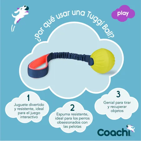 Training toy Coachi TUGGI BALL Zils