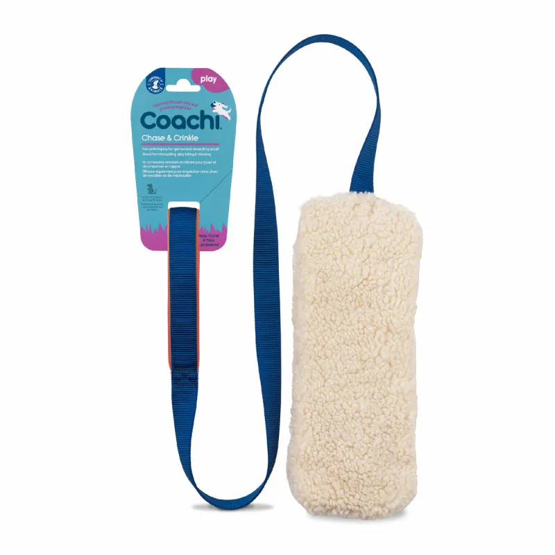 Training toy Coachi CHASE & CRINKLE Синий