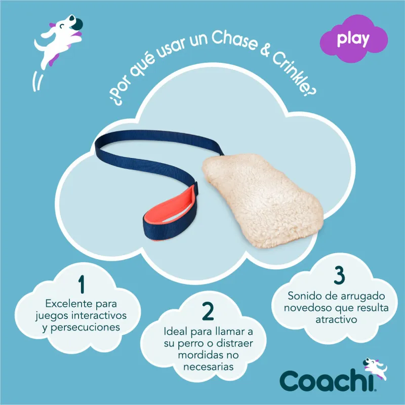 Training toy Coachi CHASE & CRINKLE Синий