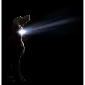 Dog collar Dog Gone Smart Black 20 Light